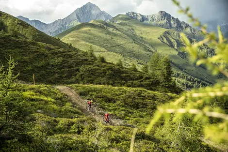 Mountainbiker sind auf Trail durch Almwiesen unterwegs