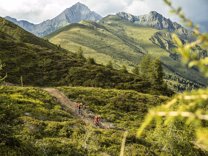 Mountainbiker sind auf Trail durch Almwiesen unterwegs