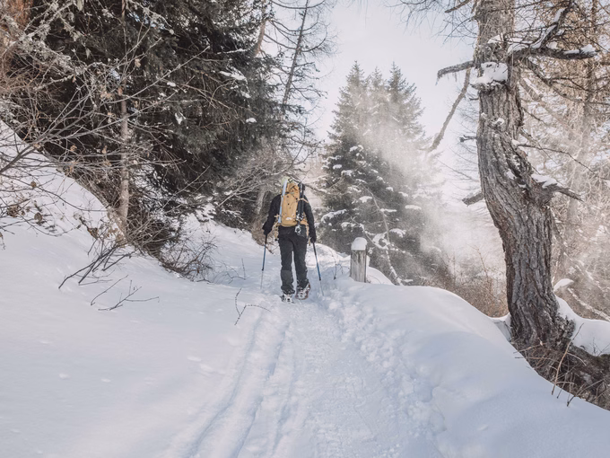 Schneeschuhwanderer im Winterwald