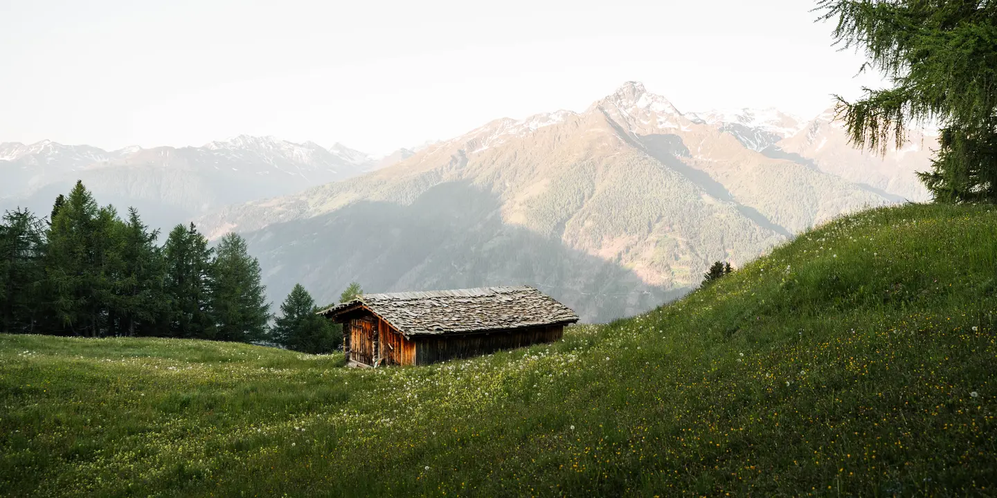 Alte Heuschupfe inmitten einer blühenden Almwiese