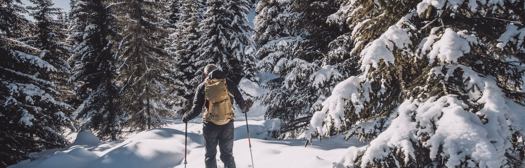 Schneeschuhwanderer im Winterwald