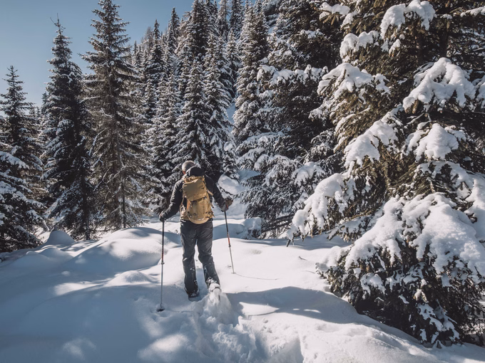 Schneeschuhwanderer im Winterwald